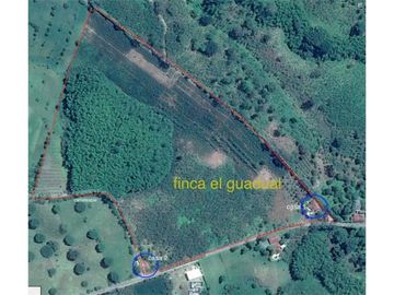 Finca Quindiana A La Venta Sobre Corredor Turistico De Montenegro