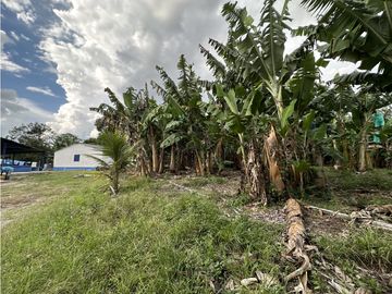 Se Vende Finca Productiva Cerca Al Parque Del Cafe Quindio