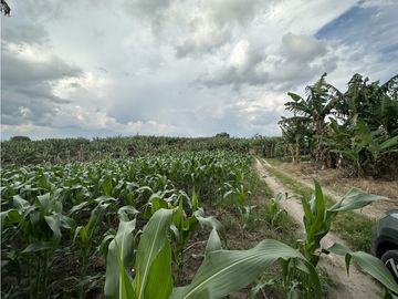 Se Vende Finca Productiva Cerca Al Parque Del Cafe Quindio
