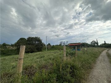 Se Vende Finca Productiva Cerca Al Parque Del Cafe Quindio