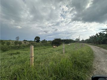 Se Vende Finca Productiva Cerca Al Parque Del Cafe Quindio