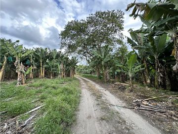 Se Vende Finca Productiva Cerca Al Parque Del Cafe Quindio