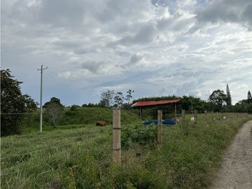 Se Vende Finca Productiva Cerca Al Parque Del Cafe Quindio