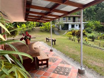 Finca en venta a 12 minutos de la Pintada