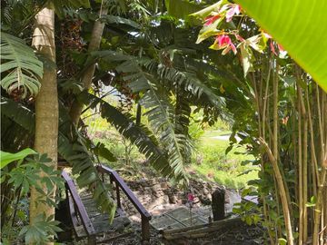 Finca en venta a 12 minutos de la Pintada