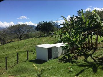 Finca en venta a 12 minutos de la Pintada