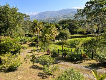 Finca en venta a 12 minutos de la Pintada