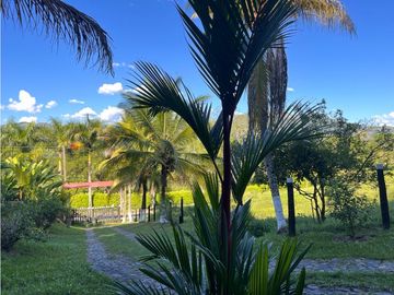 Finca en venta a 12 minutos de la Pintada