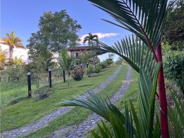 Finca en venta a 12 minutos de la Pintada