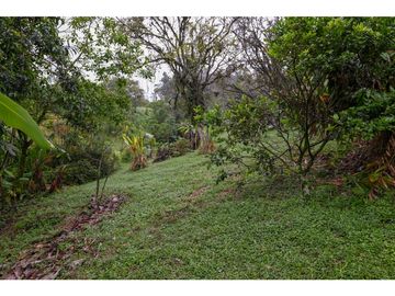 FINCA LA RECOLETA  EN VENTA SASAIMA