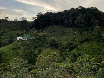 Se Vende Finca  Turismo Agroturismo Salento Quindío