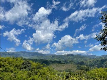 Se Vende Finca  Turismo Agroturismo Salento Quindío