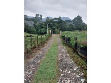 VENDO FINCA EN EL CARMEN DE VIBORAL ANTIOQUIA  SECTOR CANADA