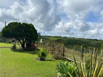 Finca Cafetera en Venta en Altagracia, Pereira, Risaralda