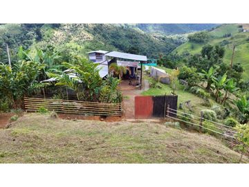 Finca Cafetera en Venta en Altagracia, Pereira, Risaralda