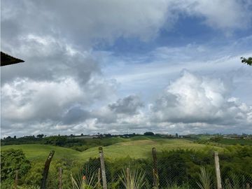 Finca Cafetera en Venta en Altagracia, Pereira, Risaralda