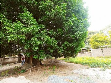 SE VENDE PROPIEDAD  CASA + LOTE EN VIJES
