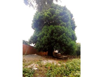 SE VENDE PROPIEDAD  CASA + LOTE EN VIJES