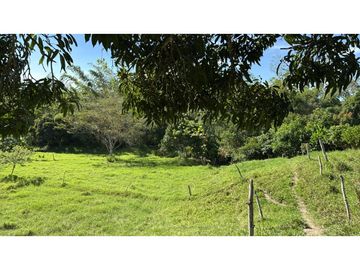 Se vende finca en Guaduas Cundinamarca.