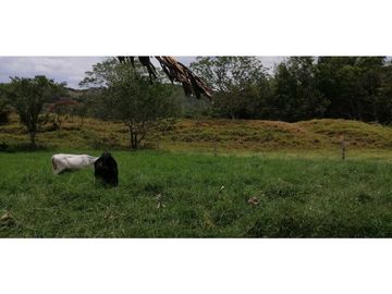Se vende finca en Guaduas Cundinamarca.