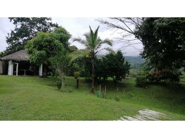 Se vende finca en Guaduas Cundinamarca.