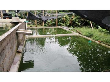 Se vende finca en Guaduas Cundinamarca.