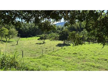 Se vende finca en Guaduas Cundinamarca.