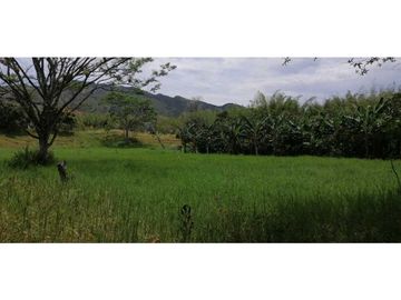 Se vende finca en Guaduas Cundinamarca.