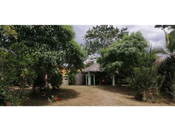 Se vende finca en Guaduas Cundinamarca.
