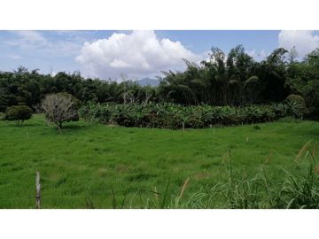 Se vende finca en Guaduas Cundinamarca.