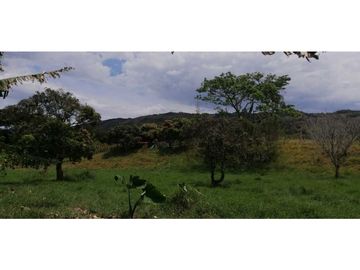 Se vende finca en Guaduas Cundinamarca.