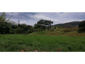 Se vende finca en Guaduas Cundinamarca.