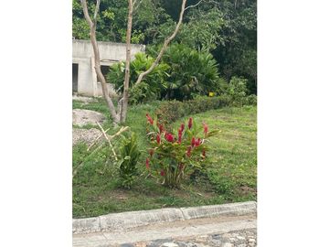 Venta de lotes campestres en Minca Santa Marta