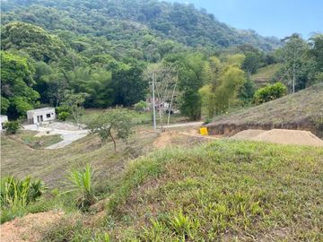 Venta de lotes campestres en Minca Santa Marta