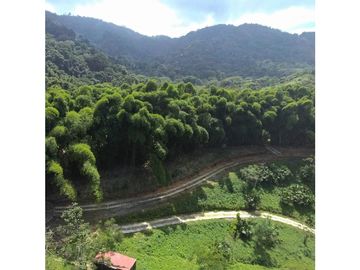 Venta de lotes campestres en Minca Santa Marta