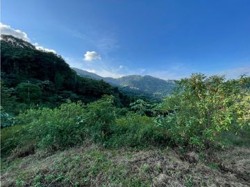 Venta de lotes campestres en Minca Santa Marta