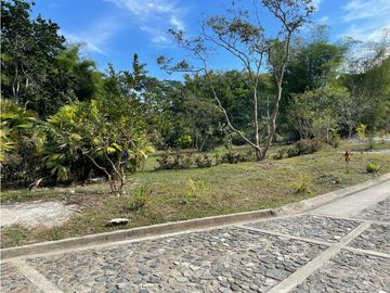 Venta de lotes campestres en Minca Santa Marta