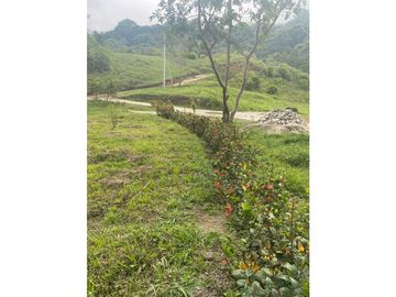 Venta de lotes campestres en Minca Santa Marta