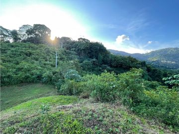 Venta de lotes campestres en Minca Santa Marta