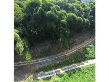 Venta de lotes campestres en Minca Santa Marta