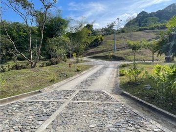 Venta de lotes campestres en Minca Santa Marta