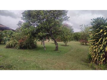 VENDO FINCA 10 MIL MTS UNIDAD CERRADA VIA A LA CEJA CH
