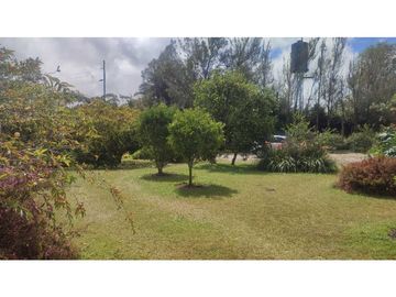 VENDO FINCA 10 MIL MTS UNIDAD CERRADA VIA A LA CEJA CH