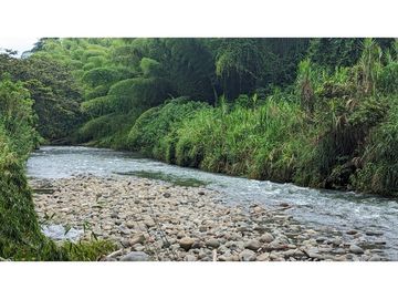 VENTA FINCA CON PISCINA SECTOR ULLOA VALLE