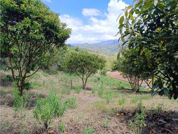 Finca en venta en El Peñol - Vereda La Hélida