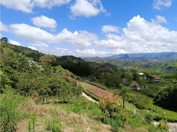 Finca en venta en El Peñol - Vereda La Hélida