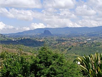 Finca en venta en El Peñol - Vereda La Hélida