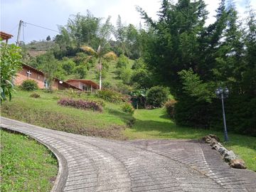 Finca en venta en El Peñol - Vereda La Hélida