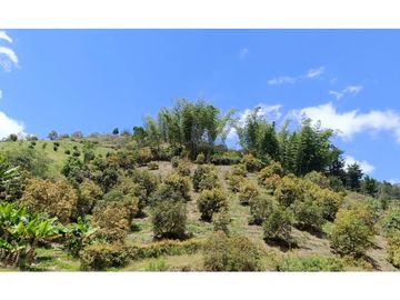 Finca en venta en El Peñol - Vereda La Hélida