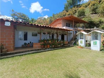 Finca en venta en El Peñol - Vereda La Hélida